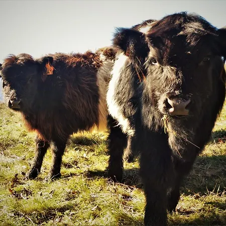 Chalet Chez-judith *